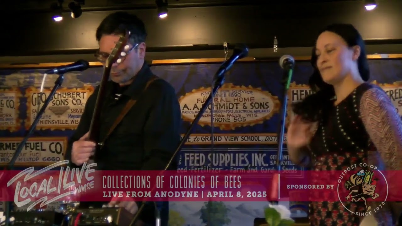 Local/Live from Anodyne with Collections of Colonies Bees, April 8 2025