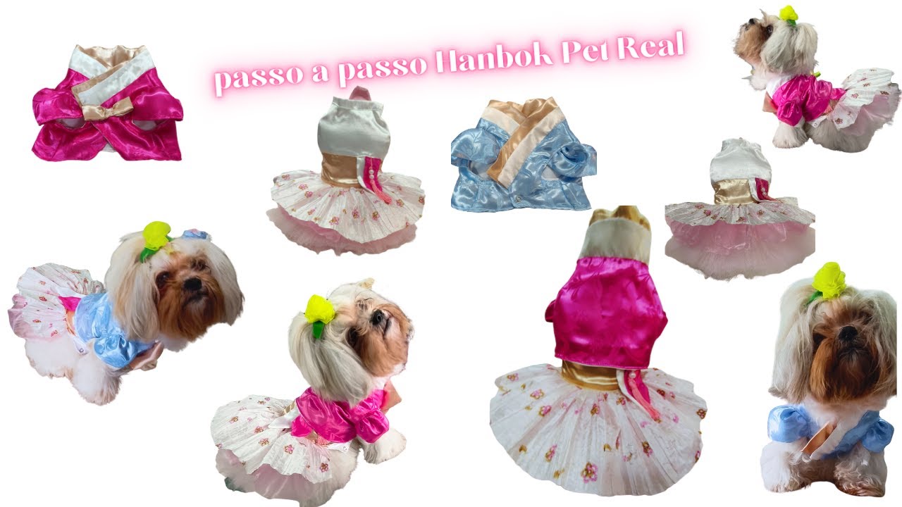 Conjunto Hanbok Pet Real