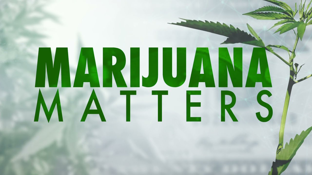 Connecticut launches new website for legal marijuana information