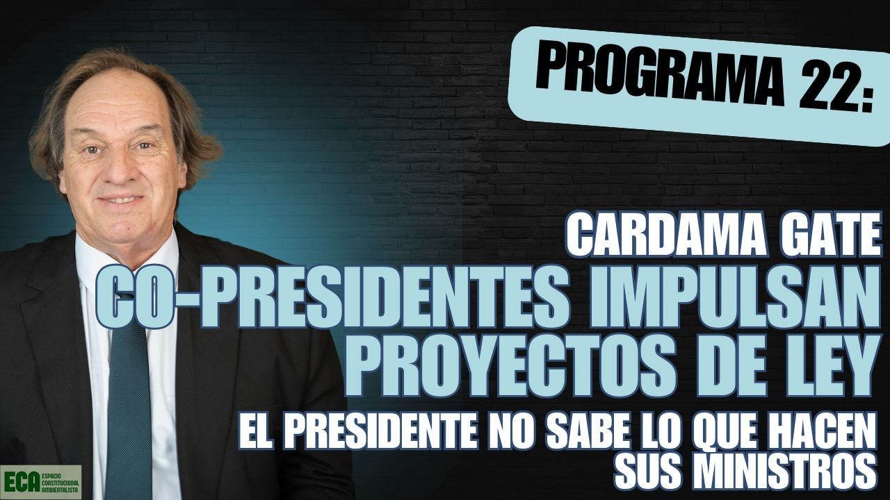 Programa 22 - 13.03.2026