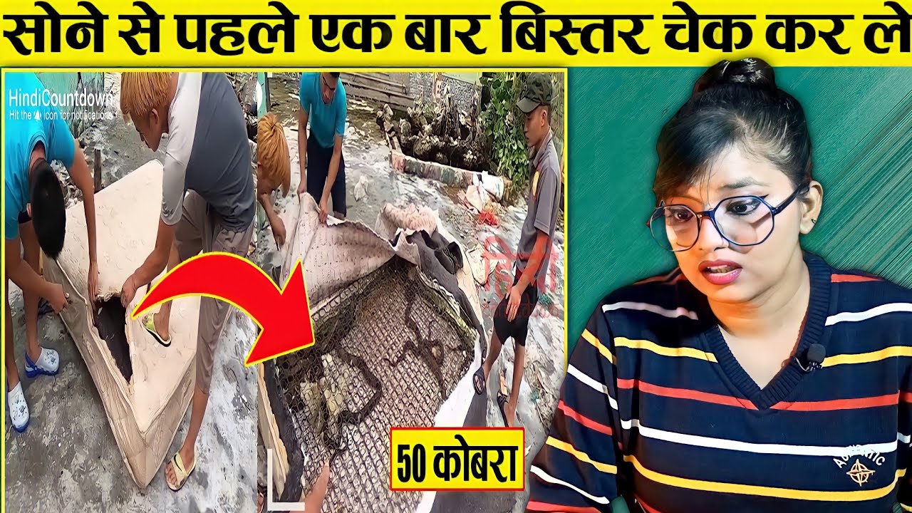 आपके घर में भी हो सकता है सांप | Amazing Snakes | REACTION | SWEET CHILLIZ | @HindiCountdown