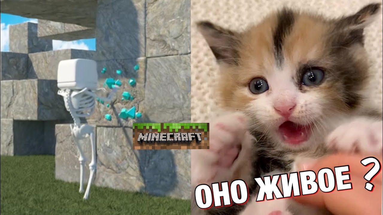 СПАС КОТЁНКА и СТРОЮ ПАРК РАЗВЛЕЧЕНИЙ для НЕГО в МАЙНКРАФТ 😱 Kot Million Games
