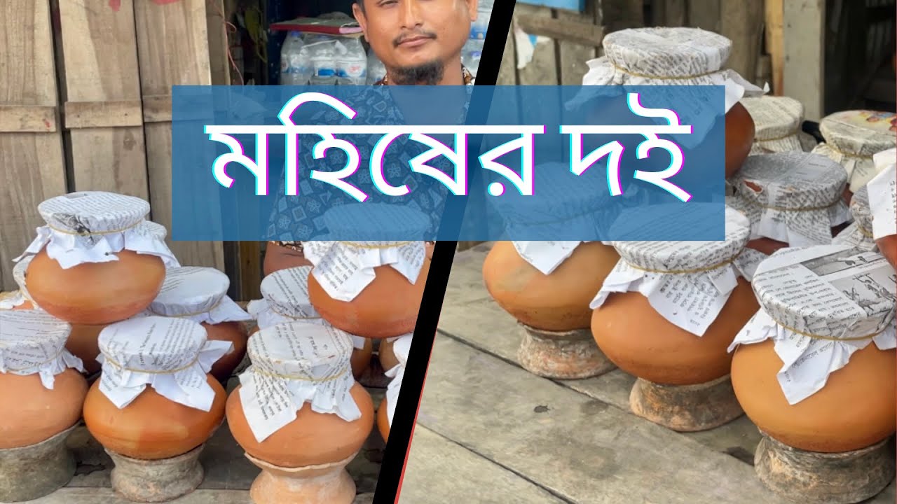 বিখ্যাত মহিষের দই । কক্সবাজারের চকরিয়া | Famous Buffalo Curd of Chakaria Coxsbazer | Mobinulkaif