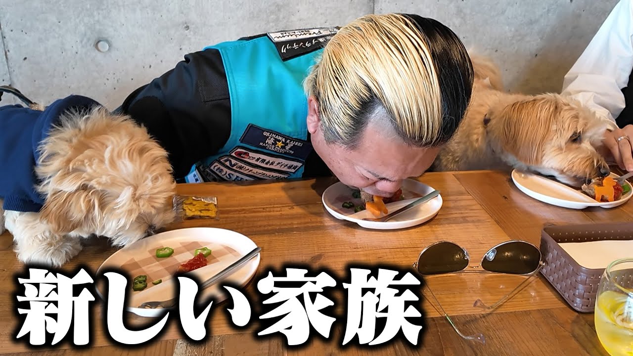 MGに9,800円の格安家族ができました！