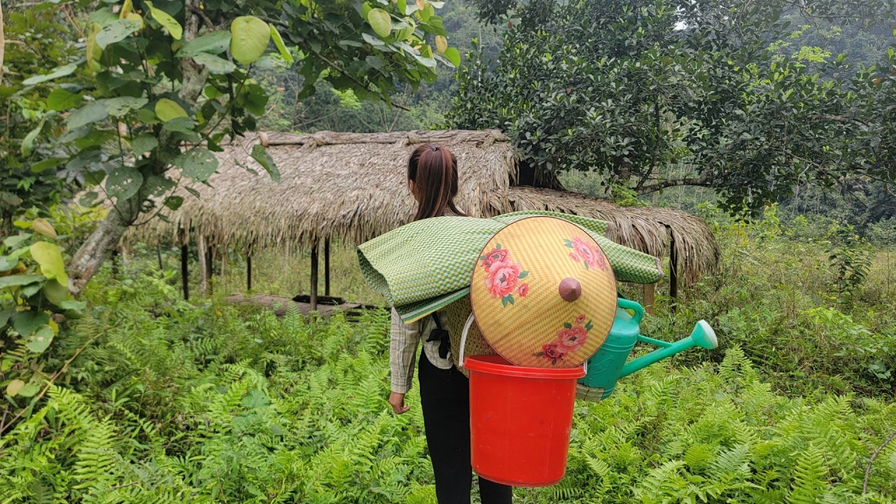 A Single Woman's Survival Journey After Discovering a Forgotten House in the Forest