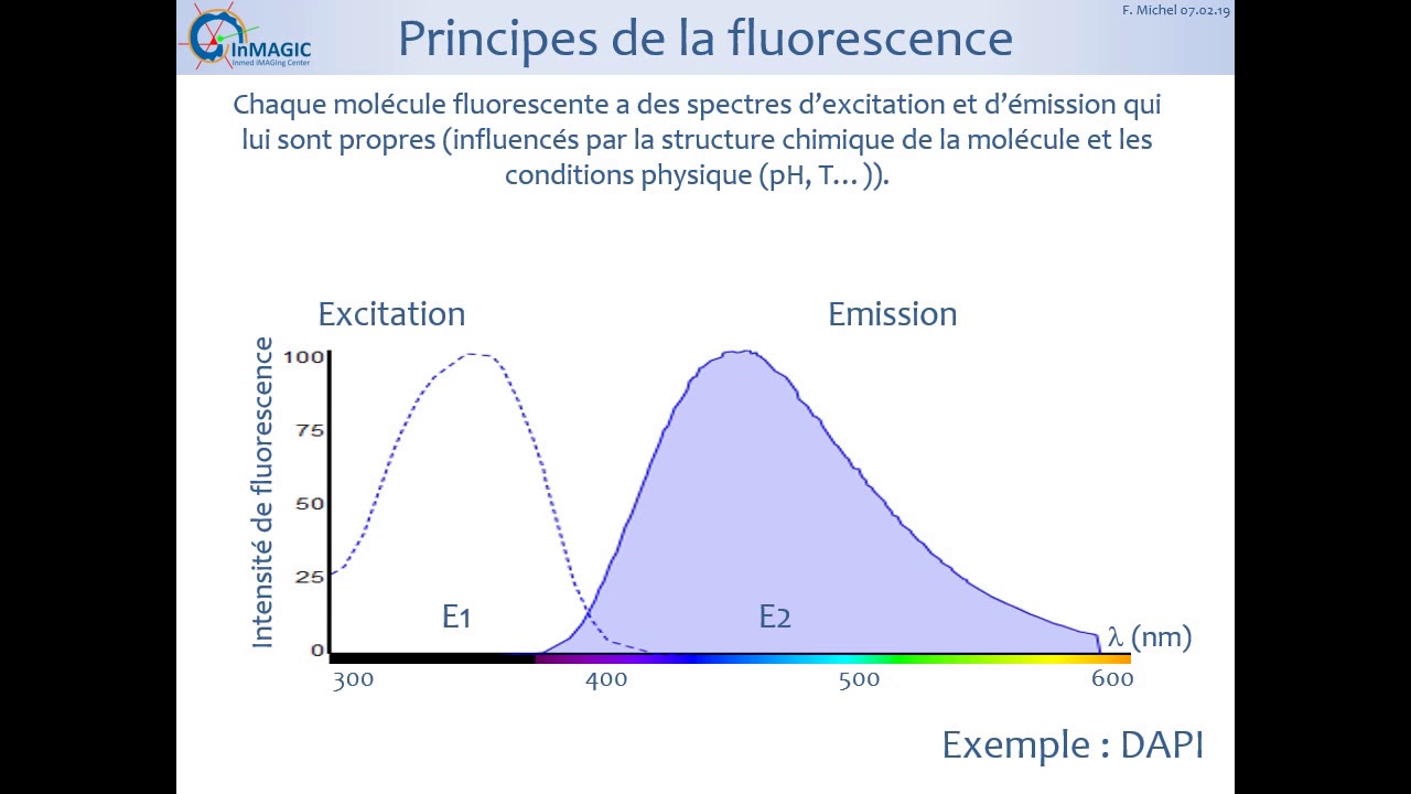 Microscopie de Fluorescence 2.1