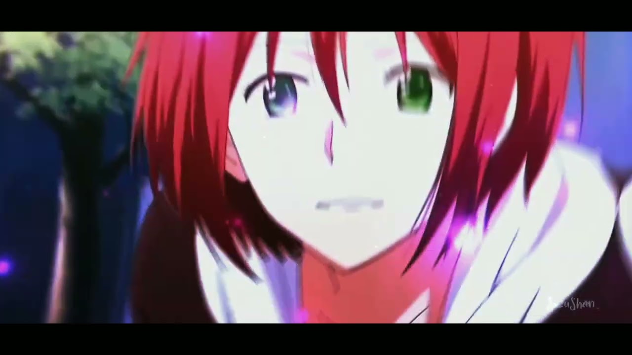 AMV Daddy Style - Shirayuki Hime - Allah Hiya Karoo