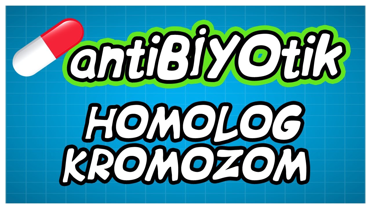 antiBİYOtik / TYT Homolog Kromozom