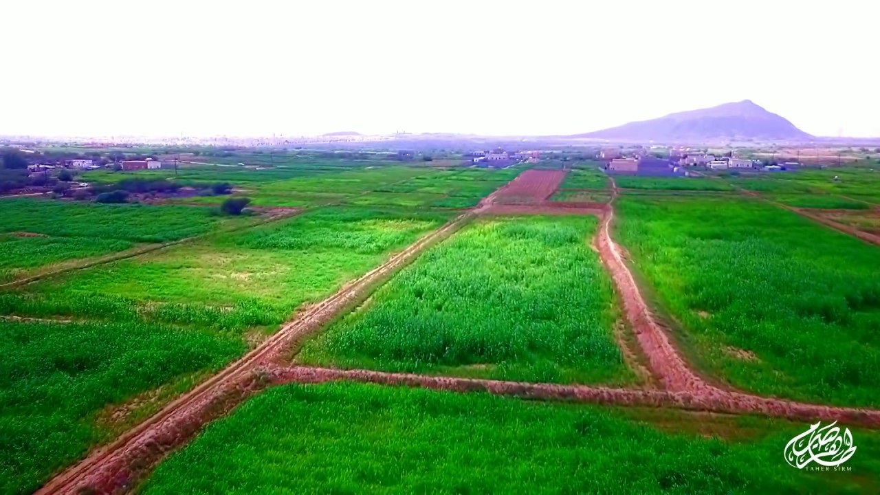 أحد المسارحة - الحصمة -المهدج - الحلحلة