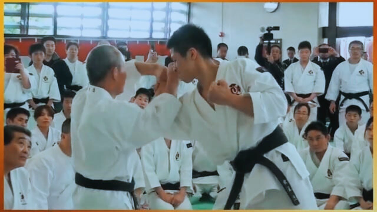 005. Master Class Shorinji Kempo Techniques | Analysis Goho and Juho | Sensei Arai