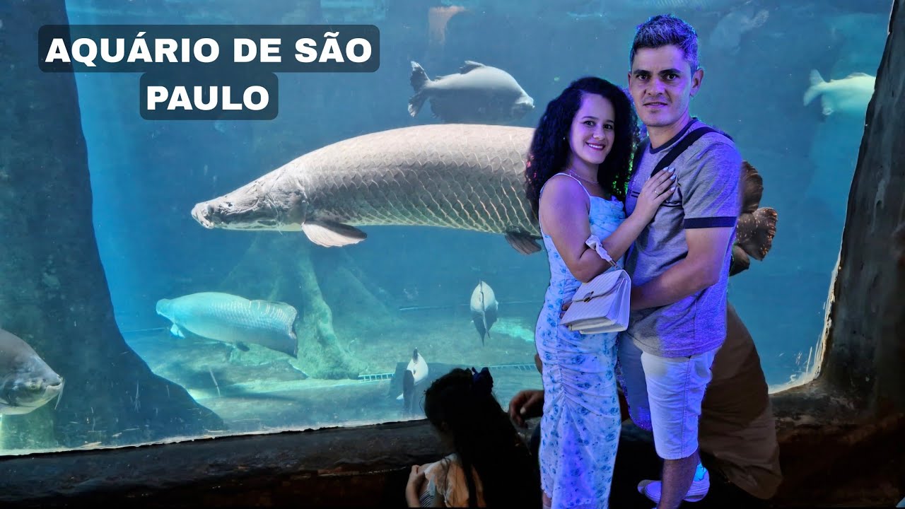 CONHECEMOS O AQUÁRIO DE SÃO PAULO