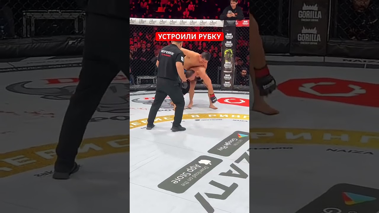 Рубка вечера #mma #ufc #naiza #казах #алаш #номад #рух #бокс #октагон #нокаут #рубка