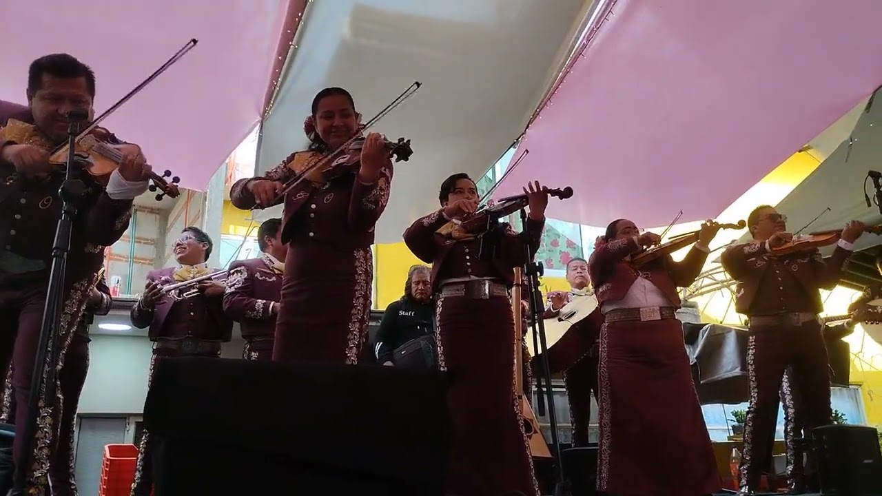 Me encantó. Mariachi El Gallo de Oro Tlaxcala