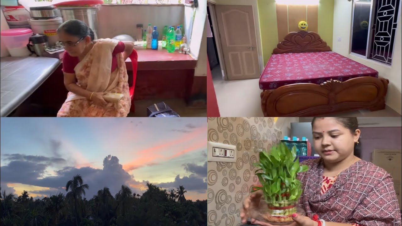 আজ ফ্ল্যাট টা নিজের মতন করে কিছুটা গুছিয়ে নিলাম || thami aj chole gelo pisir bari