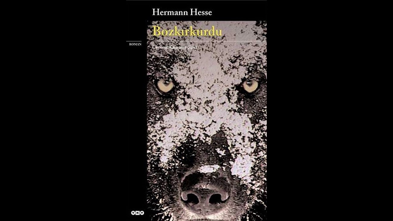 Hermann Hesse - BOZKIRKURDU 2.Bölüm
