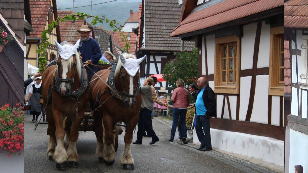 FETE DES VENDANGES 2016  - CLEEBOURG ALSACE  -