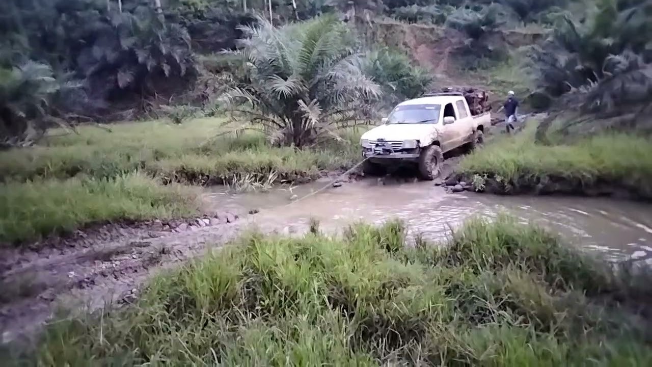 Transformasi perkebunan Bengkulu Selatan 