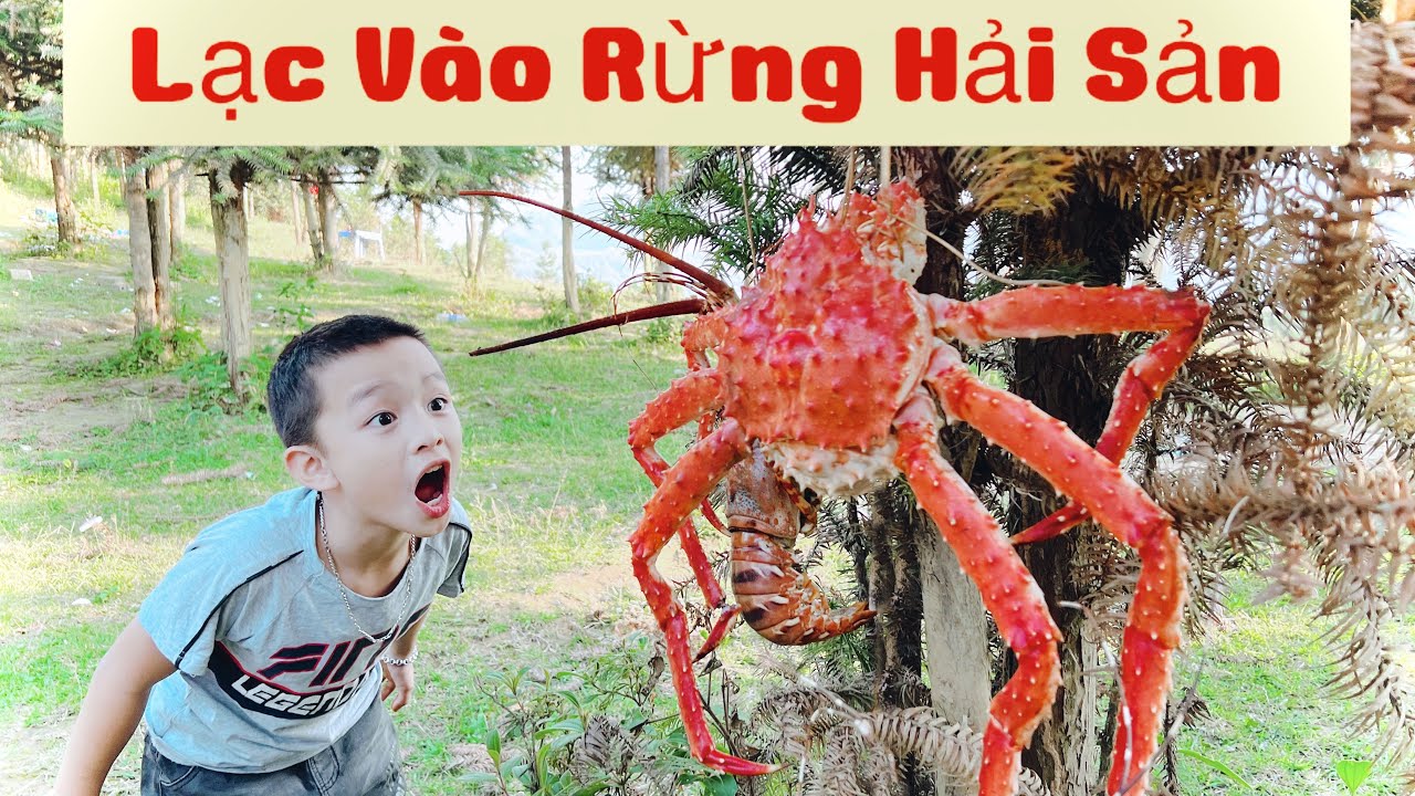 DTVN Vlog : (Tập 178)Bài học nhớ đời cho kẻ giám bắt nạt trẻ trâu(LẠC VÀO RỪNG HẢI SẢN)