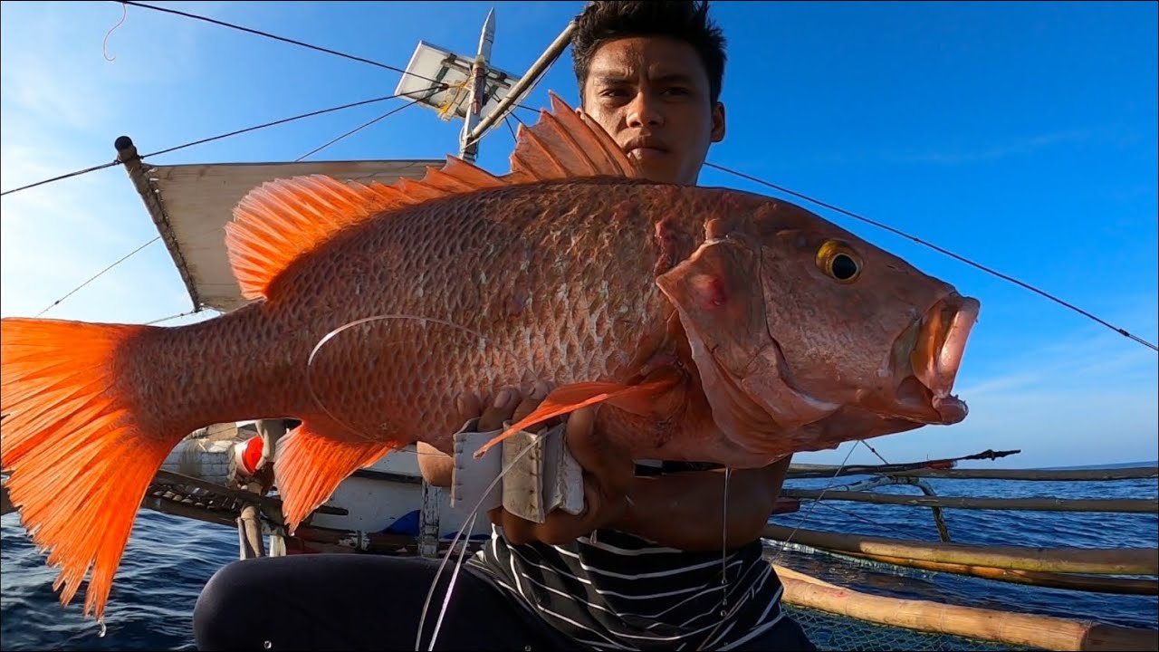 Traditional longline fishing in Palawan | Catch and Sell