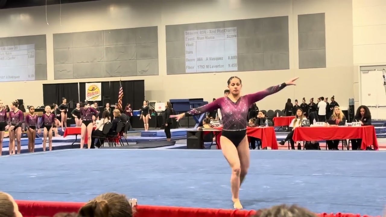 Floor-Xcel Platinum