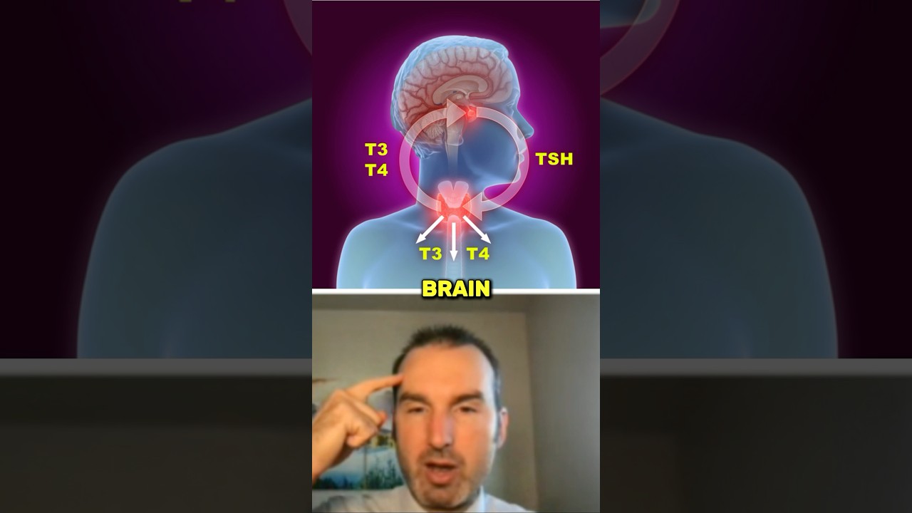 Can thyroid issues cause dizziness? #dizzy #dizziness #thyroid #hypothyroid #functionalmedicine