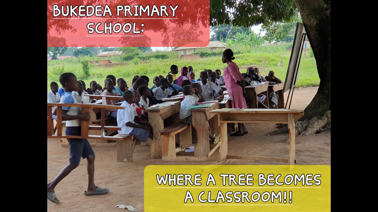 UNDER A TREE, UNDERFUNDED:  A Glimpse Into Uganda's Rural Education Crises