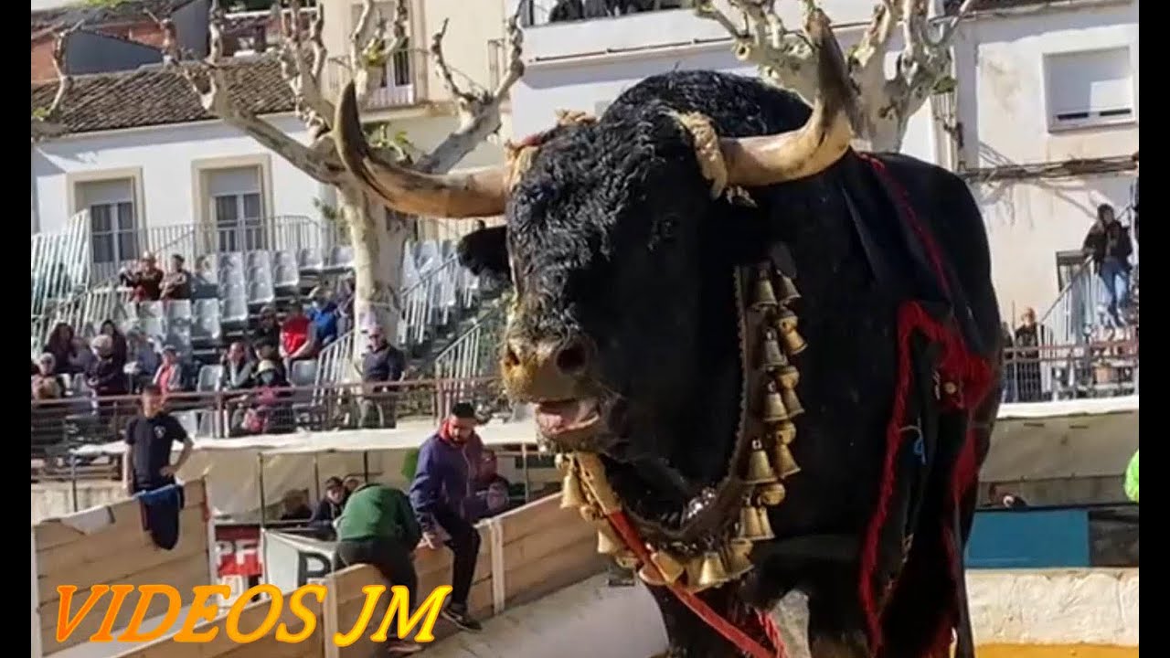 &iexcl;Vaya Toracos...!!!! Espectacular Beas De Segura 2022