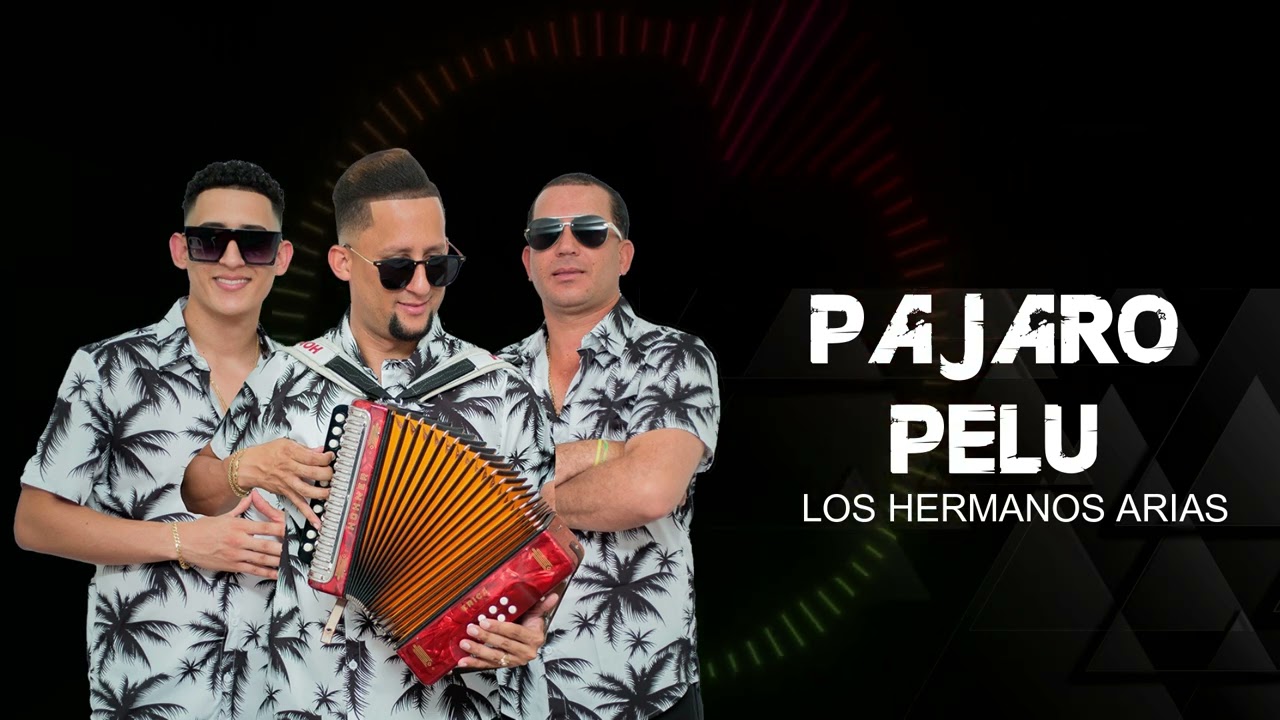 Los Hermanos Arias - EL PAJARO PELU