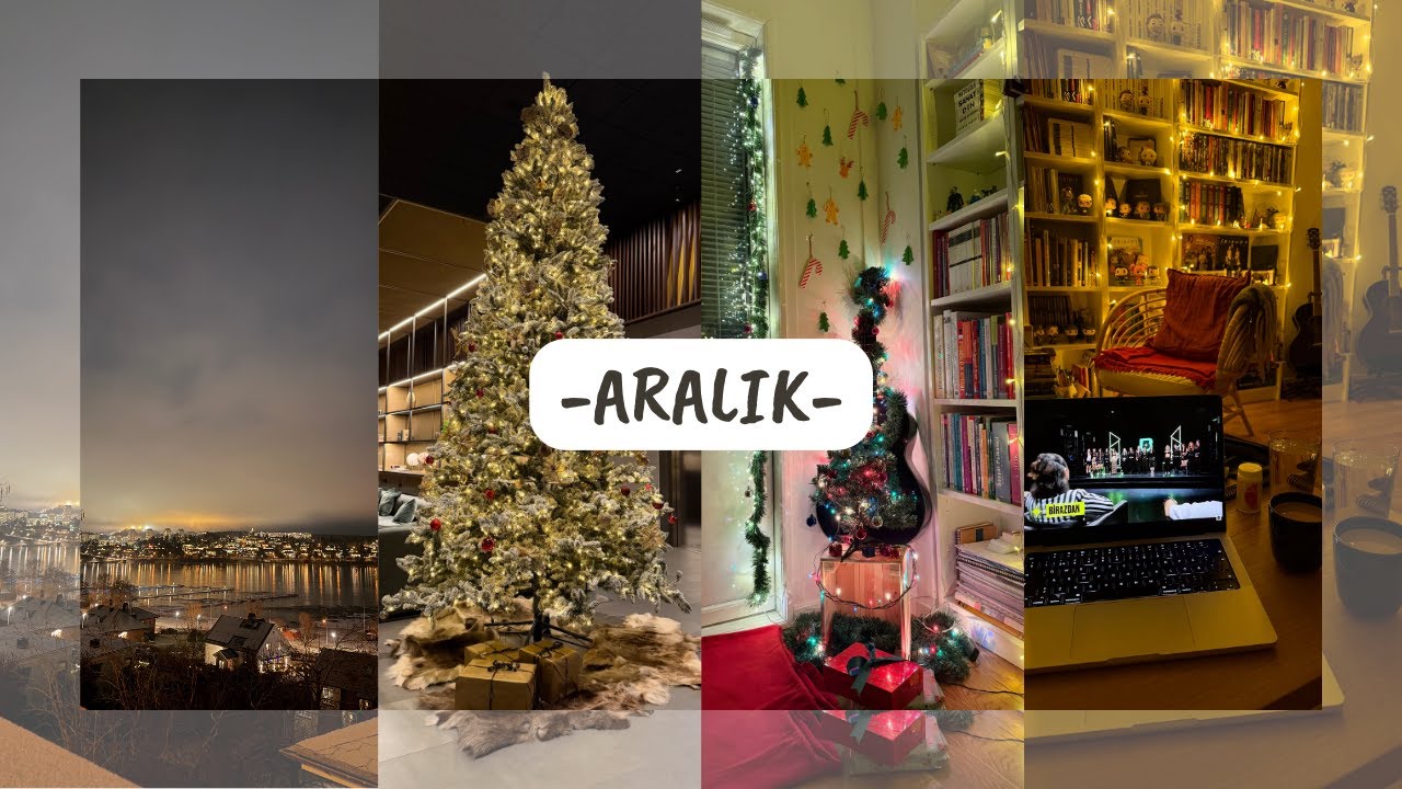 ARALIK VLOG 2025
