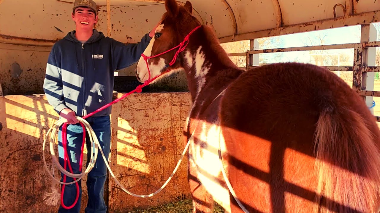 FIRST TIME LOADING | CHRISTMAS SURPRISE