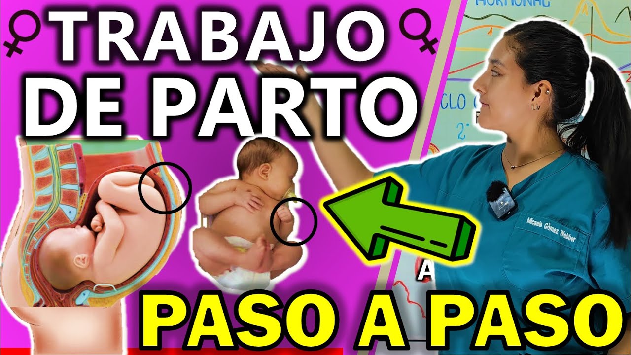 TRABAJO DE PARTO PASO A PASO | GuiaMed
