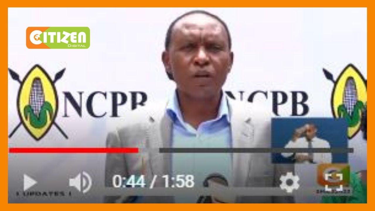 Grain millers raise concern over high aflatoxin in maize