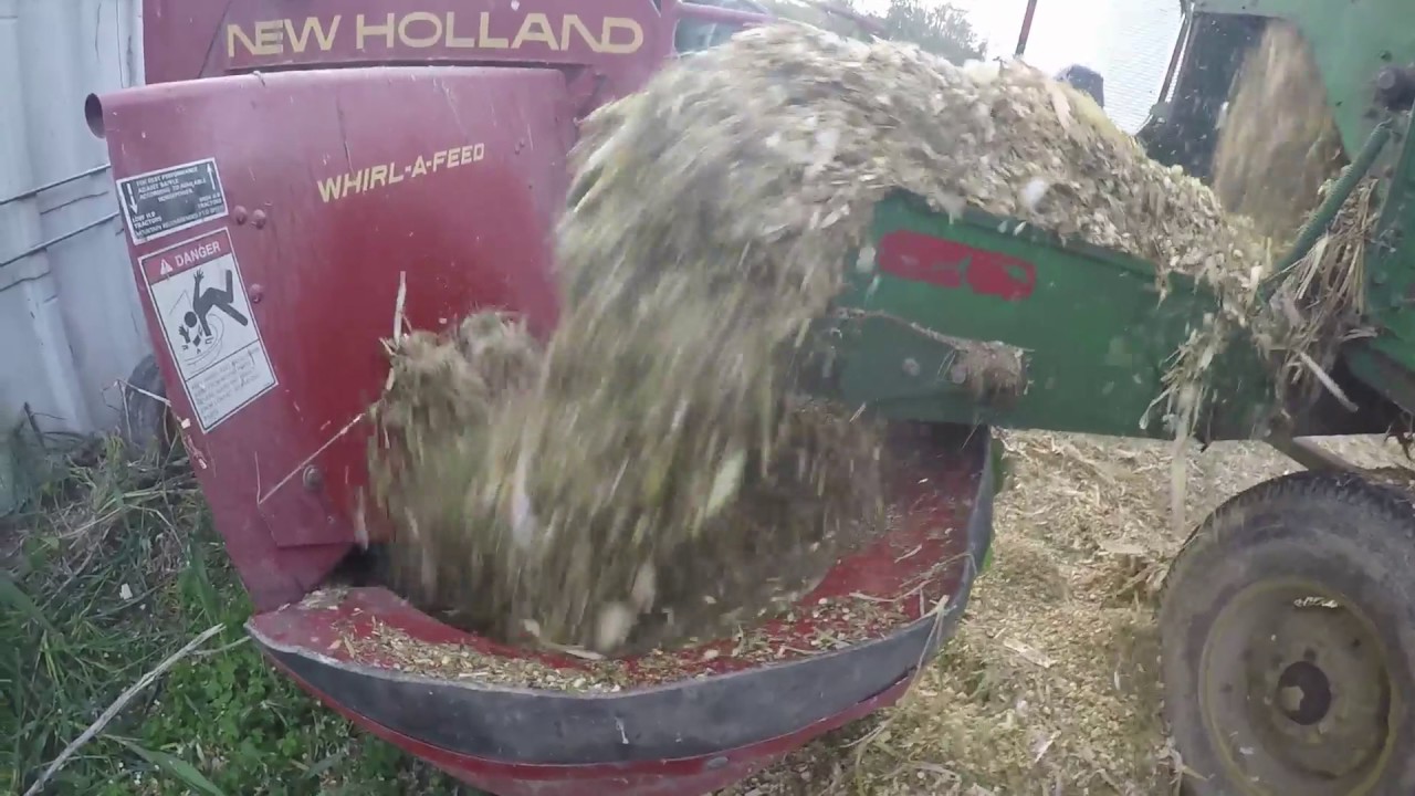 Unloading JD 115 Chuck Wagon of chopped corn 2016