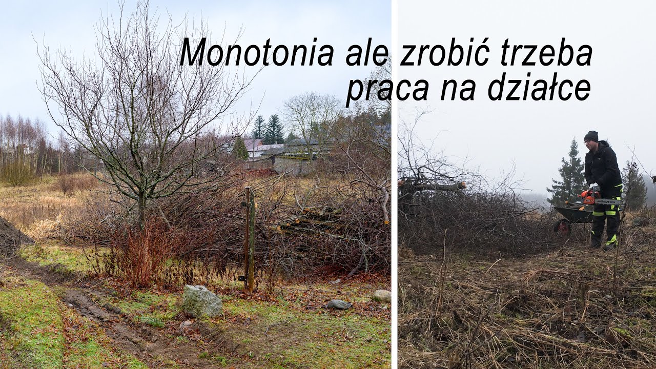Monotonia, ale zrobić trzeba – porządkowanie działki i postępy remontu domu
