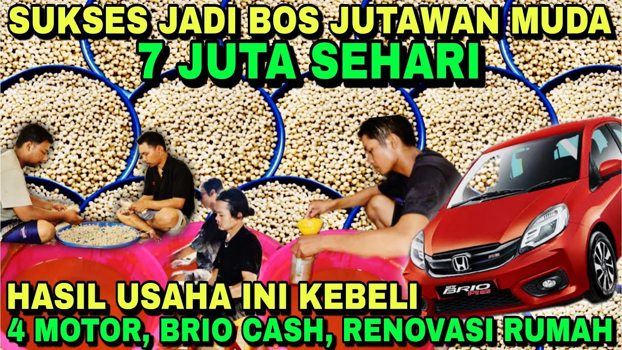 PERANTAU SUKSES !! MODAL TEPUNG OMSET BISA KEBELI 4 MOTOR, MOBIL BRIO & RENOVASI RUMAH !! IDE USAHA