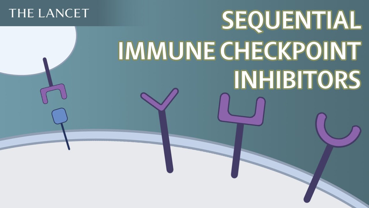 Sequential use of immune checkpoint inhibitors in renal cell carcinoma