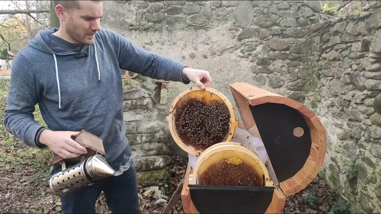 Rok včelára - spájanie včelstiev [Merging two bee colonies]
