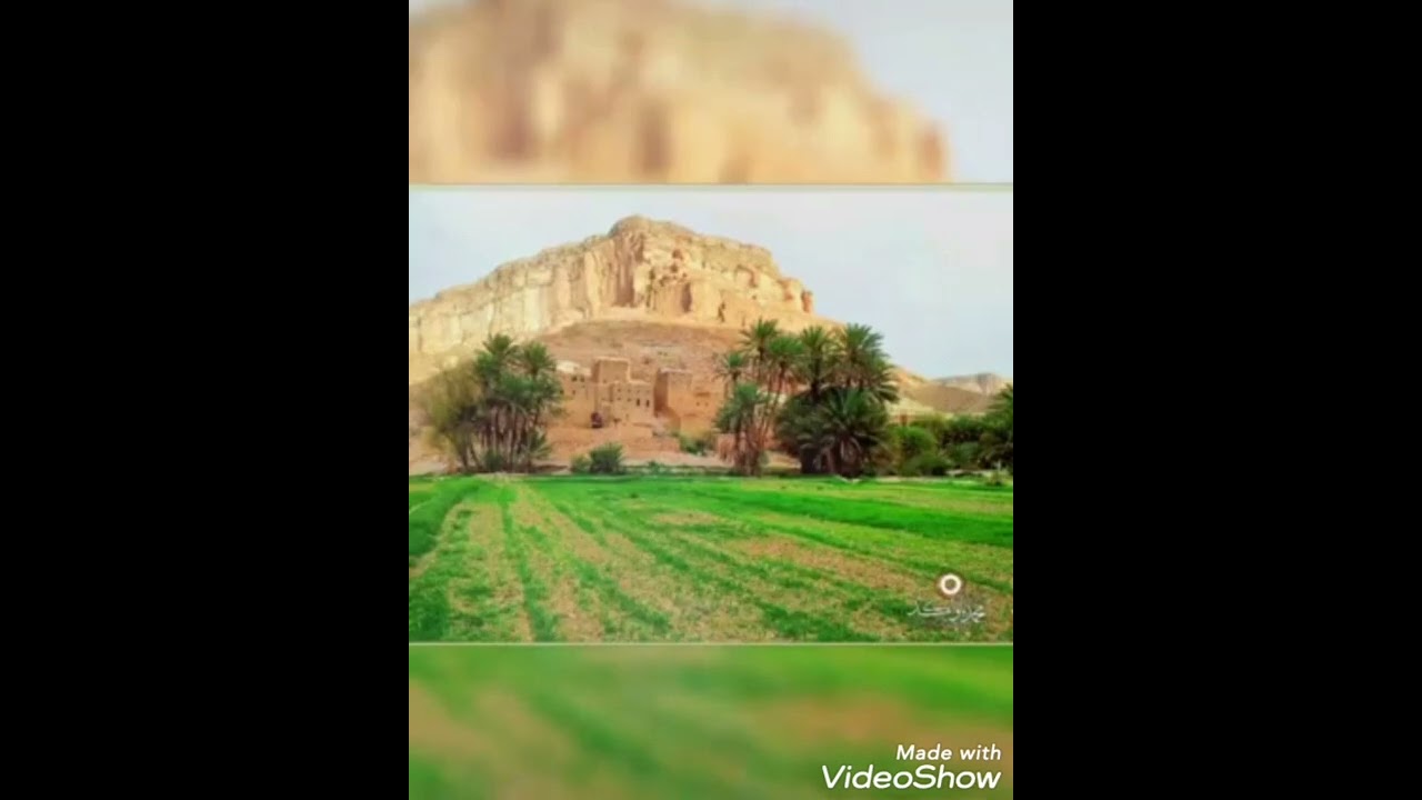 دان حضرمي مع المدروف والعود جلسه العوبثاني  المكلا  فلك