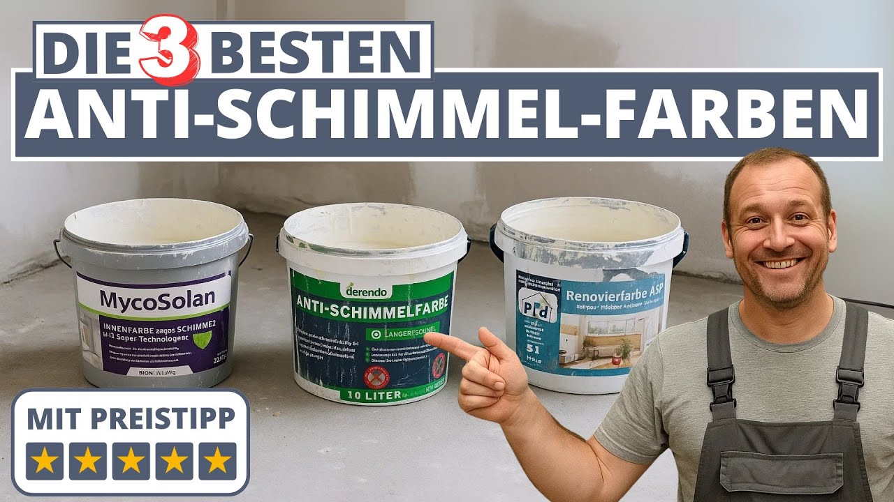 Die 3 besten Anti-Schimmel-Farben - Bioni MycoSolan, Derendo & Plid