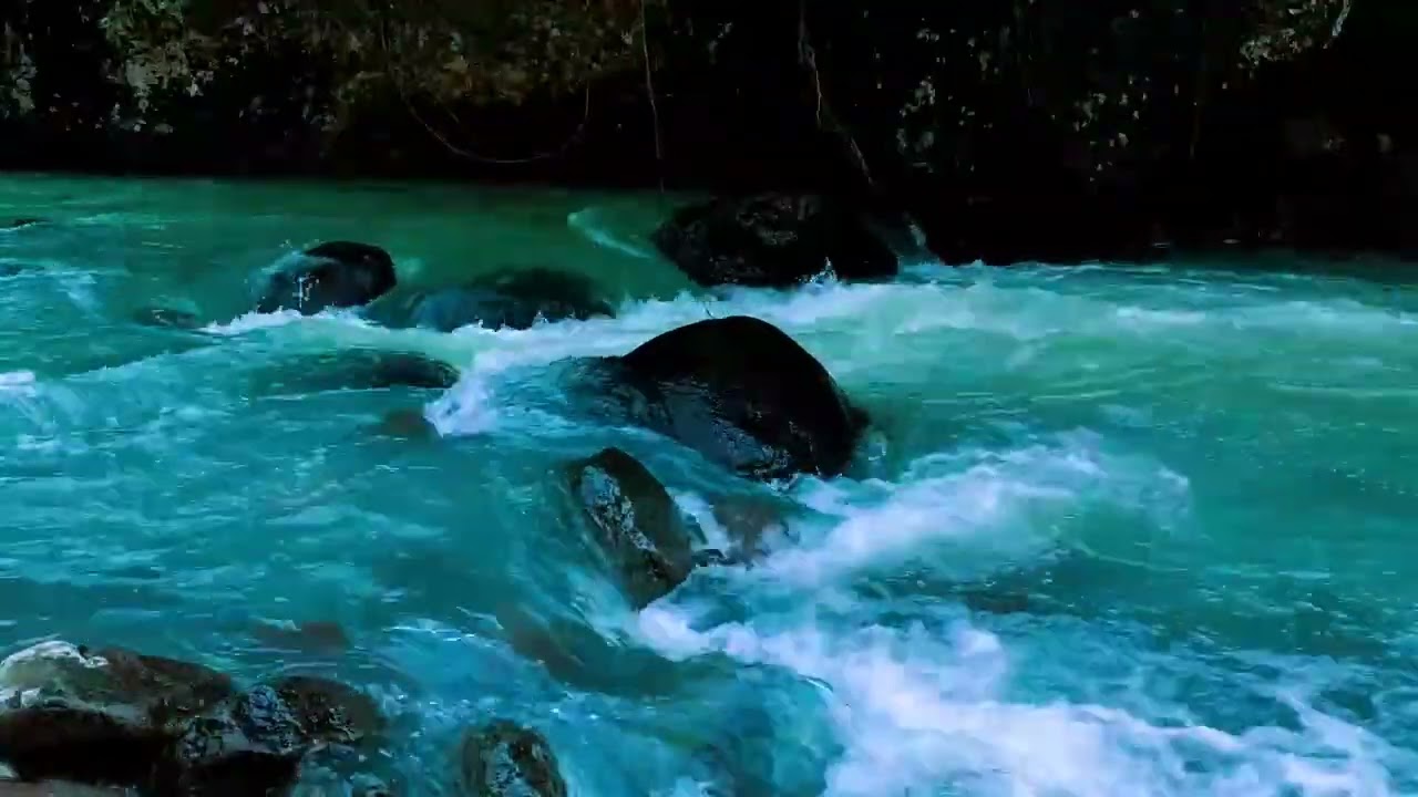 Peaceful Forest Stream, River Flow, Nature Sounds for Sleeping