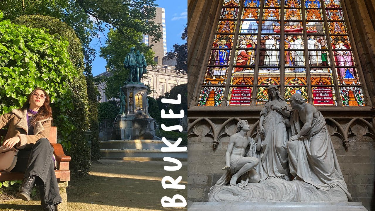 Brüksel'de tek başına | Bölüm 1 | Erasmus Anıları #erasmus