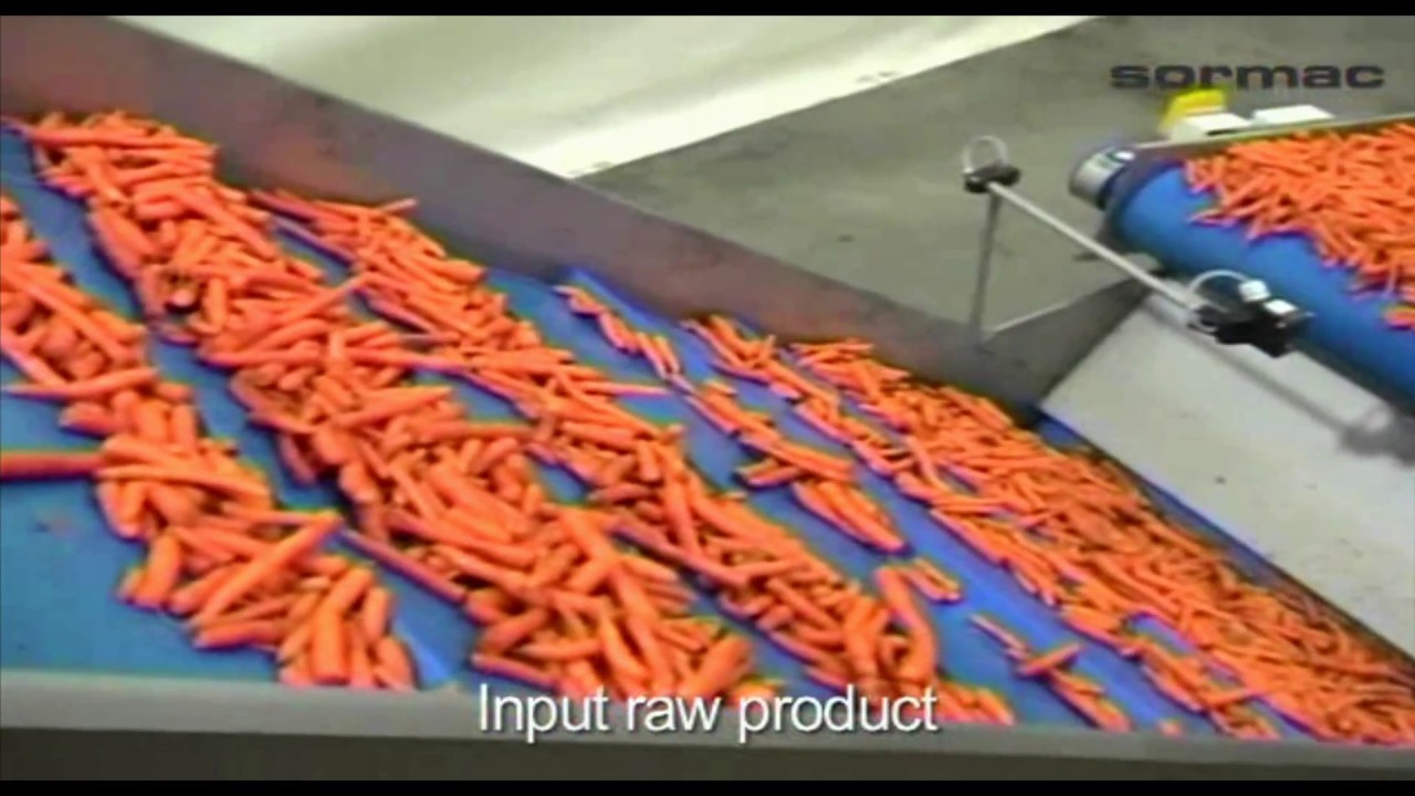 Carrot cutting and grading line - Sormac