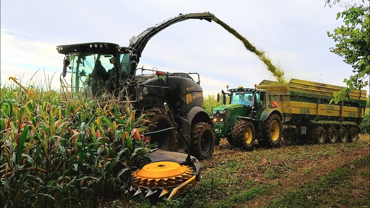 INSILATO DI MAIS: NEW HOLLAND FR920 - TM175 | JOHN DEERE 6250R - 6920S | CASE PUMA 175 | 2× FENDT