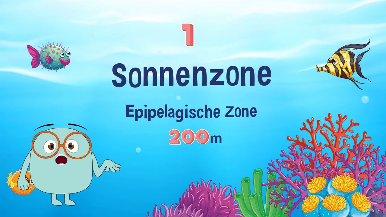 Die 5 Ozeane unserer Erde