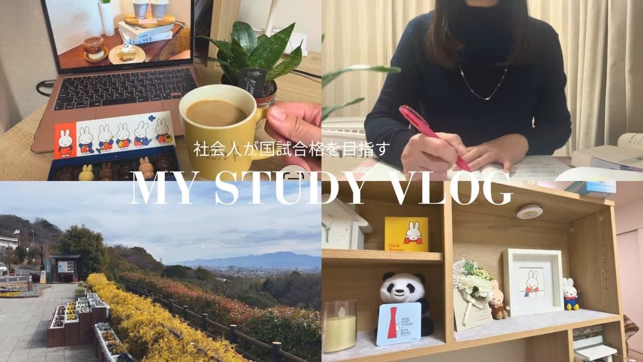 【STUDY VLOG 】働きながら国試合格を目指す社会人の勉強VLOG
