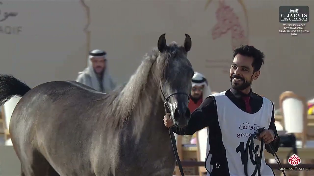 7th Souq Waqif International AHS 2026   Class 3A