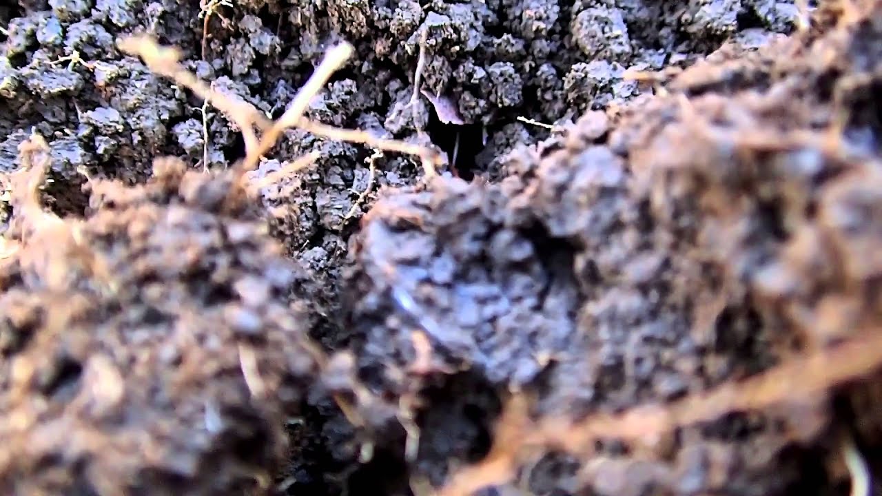 2016-METAL DETECTING INTRO