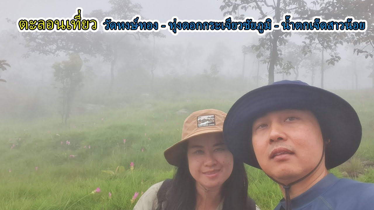 เที่ยวหาเพื่อน - วัดหงษ์ทอง - ทุ่งดอกระเจียว - น้ำตกเจ็ดสาวน้อย พาครอบครัวเที่ยวไปเรื่อย