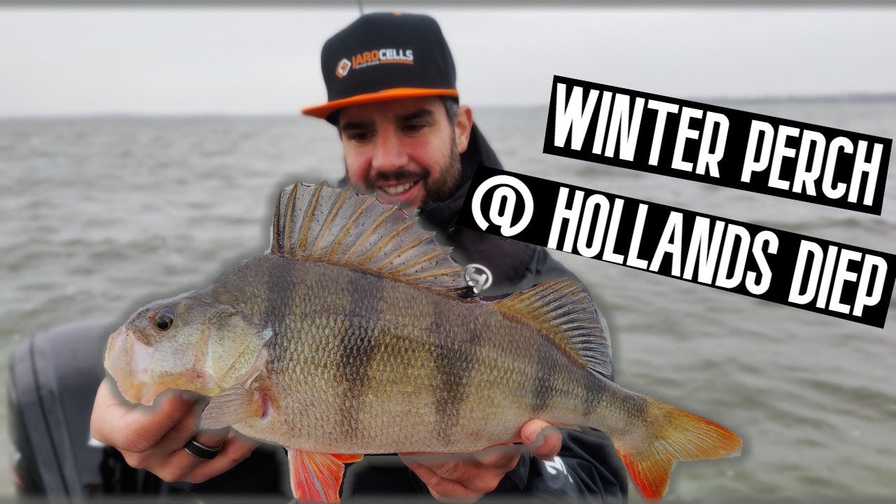 Short video of our last session december 2022 Hollands Diep