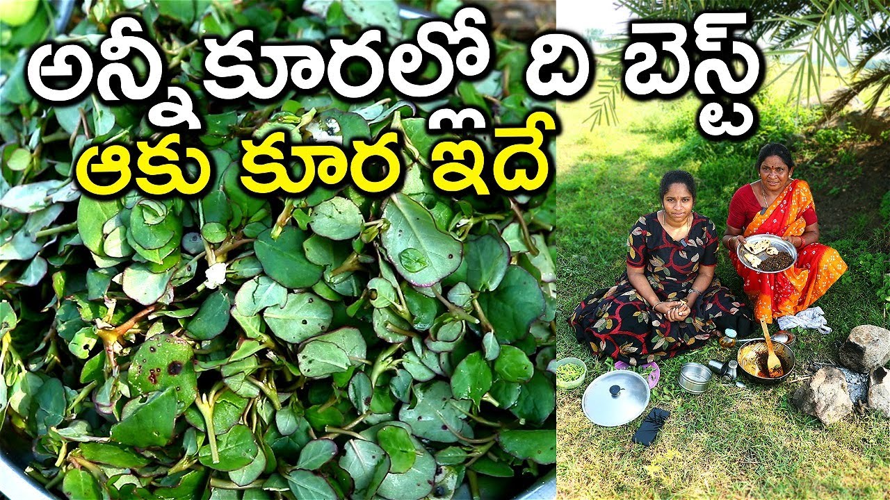 అన్నీ కూరల్లో ది బెస్ట్ ఆకు కూర ఇదే ..దేవుళ్ళు వేసిన పంట సరస్వతి ఇది l pedda payala kura l chef saru